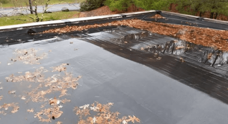 Ponding Water On A Warehouse Roof Deserves More Than A Coating Bid